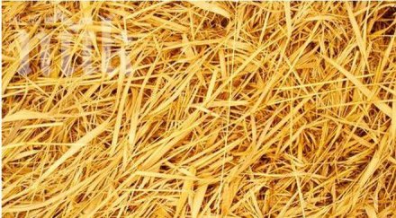 меле димитровград заради слама