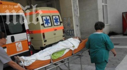 болестта лайшманиоза удари втора жертва петричко