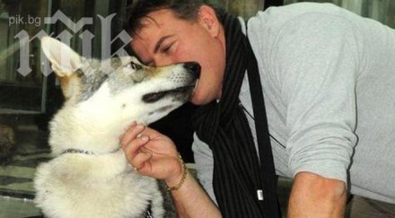 издирват куче филмов герой центъра софия