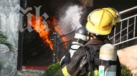 подпалиха аудито син борчески шеф слънчев бряг