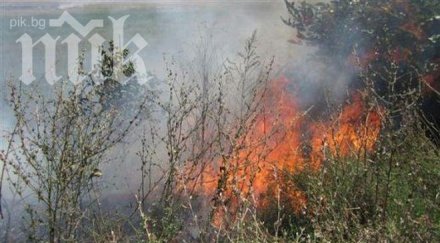 200 декара горски фонд гори бургас