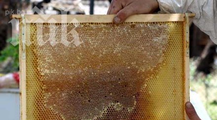 пчеларите излизат протест