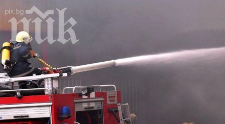 горят повече 200 декара дървета бургас