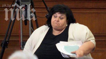 фидосова иска избори есента