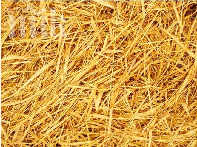 Меле в Димитровград заради слама