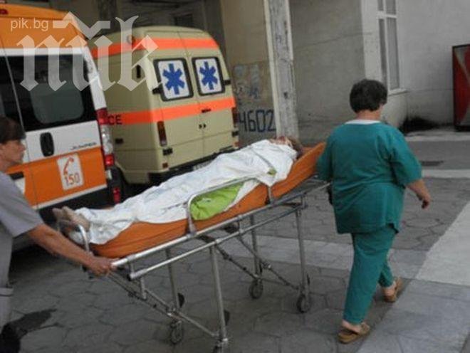 Болестта лайшманиоза удари втора жертва в Петричко