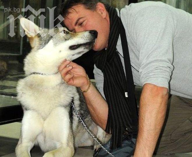 Издирват куче – филмов герой в центъра на София