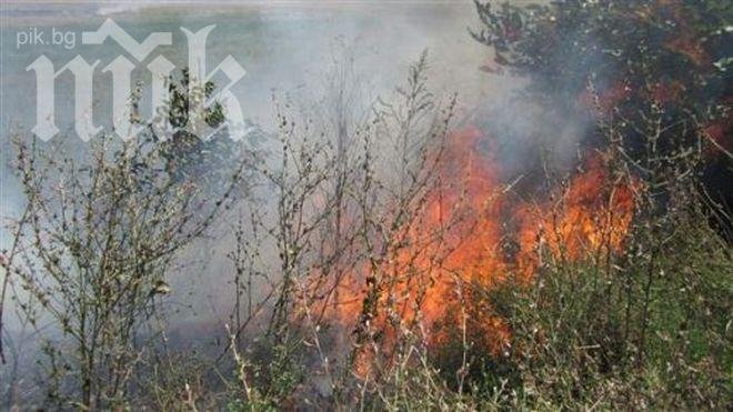 200 декара горски фонд гори в Бургас