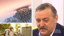 ВНИМАНИЕ: Проф. Тодор Кантарджиев разкрива какви опасности ни дебнат през лятото и как да се предпазим от тях