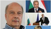 САМО В ПИК! Георги Марков с ексклузивен анализ за бъдещето на ЕС: Идва политическото земетресение и край на либералите