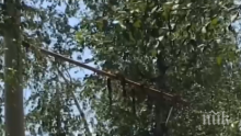 Демонтираха опасно съоръжение от улица във Велико Търново