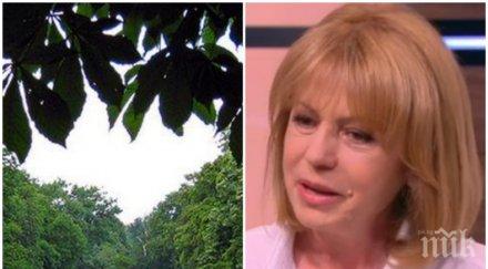 ексклузивно йорданка фандъкова разкри важни подробности борисовата градина махат капитолия маймунарника