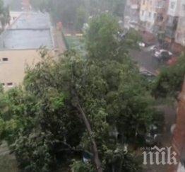 буря смаза три коли наводни козлодуй снимки