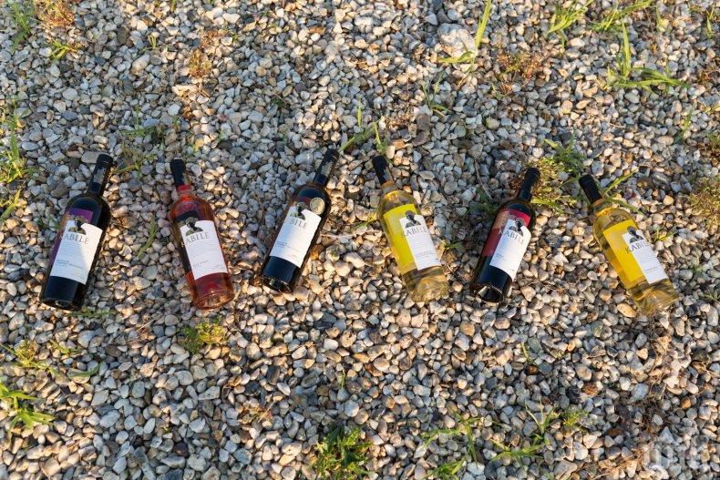 С мистичен ритуал започна най-дългия ден от годината в Кабиле (СНИМКИ) С мистичен ритуал започна най-дългия ден от годината в Кабиле (СНИМКИ)