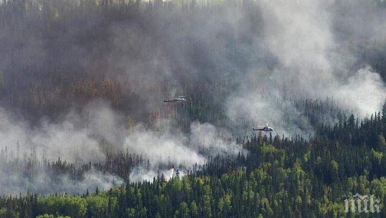 Над 9 000 души са били евакуирани заради горски пожари в Канада