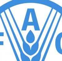 Избраха Цюй Дунюй за генерален директор на ФАО