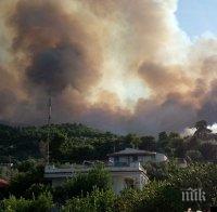 ПЛАМЪЦИ: Пожар избухна близо до Атина (СНИМКИ/ВИДЕО)