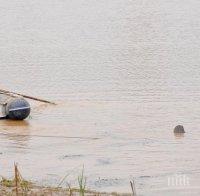 ТРАГЕДИЯ: Момче се удави в река Росица