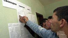Само 2% от българите бачкат на половин работен ден