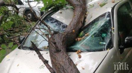 жесток инцидент слънчев бряг метрова топола срути три коли басейн хотел