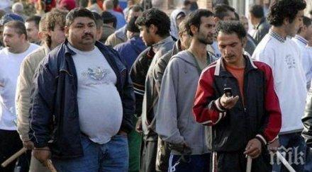 двама тежко ранени четирима болница циганското меле розино