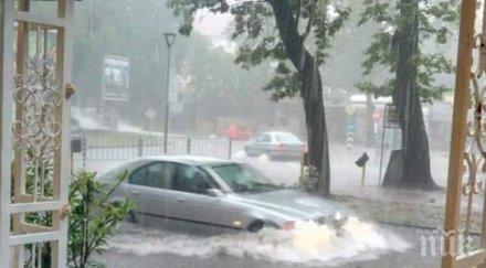 наводни зоопаркът белград