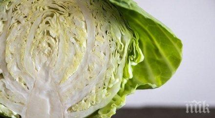 пазете продукта убиват щитовидната жлеза