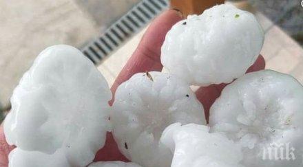 жестока градушка помля сърбия снимки