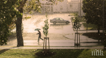 порой наводни свищов златарица