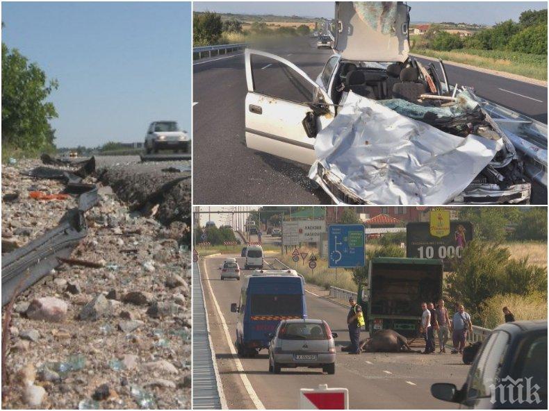 ЖЕСТОКО ДВОЙНО МЕЛЕ НА ПЪТЯ! Вижте подробности за кървавата касапница в Хасковско, станала заради... биволи (СНИМКИ)