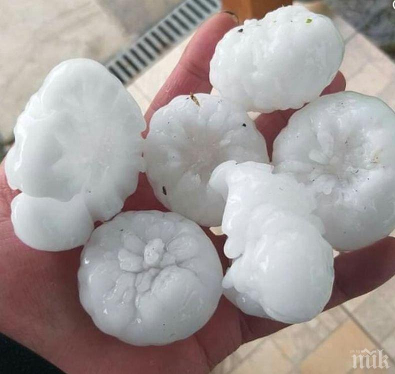 Жестока градушка помля Сърбия (СНИМКИ)