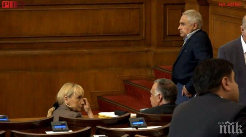 ЦИК се произнесе кой ще замести Елена Йончева в парламента