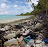 Събраха 40 тона рибарски мрежи от сметището в Тихия океан