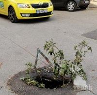 Пороят отвори огромни дупки в центъра на Пловдив