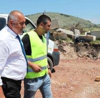 Теменужките на магистрала 