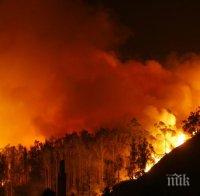 ИЗВЪН КОНТРОЛ: Огнена стихия помита гори в Каталуния (ВИДЕО)