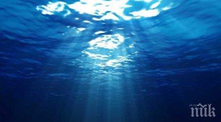 шок откриха непознато морско чудовище снимка