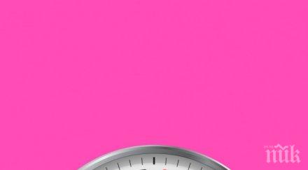 златните правила секса една нощ