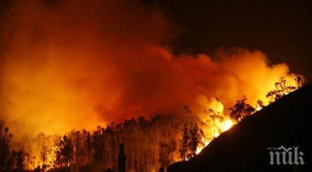 извън контрол огнена стихия помита гори каталуния видео