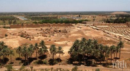 сензация откриха дворец 3400 години ирак