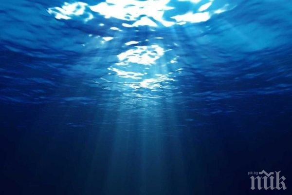 ШОК: Откриха непознато морско чудовище (СНИМКА)