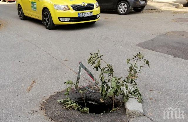 Пороят отвори огромни дупки в центъра на Пловдив