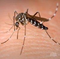 Делтапланери пръскат срещу комари мутанти в Бургас