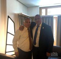 НА ЧЕТИРИ ОЧИ: Борисов и Орбан обсъдиха постовете в ЕС