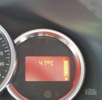 Лекар предупреди: Внимавайте с алкохола и кафето в жегите