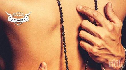 перфектното четиво плажа хитовият роман греховни нощи пали страстите