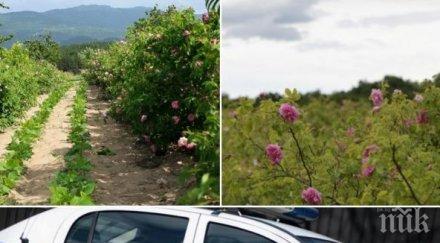 екшън розопроизводител карловско нападна преби жена закла острие коса