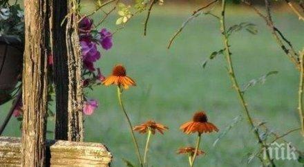 звездите говорят бъдем емоционални раними алчността завистта наказват