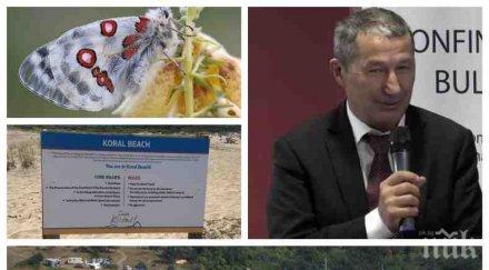 лятна ирония каролев избухна ръчното заплождане пеперуди червен аполон милиони съсипа зелените незаконните еко плажове морето