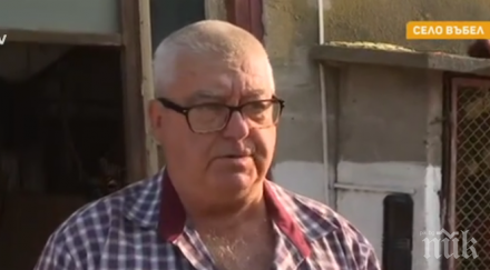 комари пренесли чумата свинете